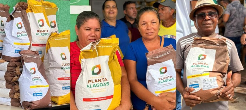 Porto Real do Colégio recebe cerca de 8 toneladas de sementes através do programa Planta Alagoas